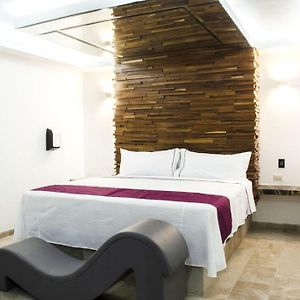 Habitación Estándar con Cama King